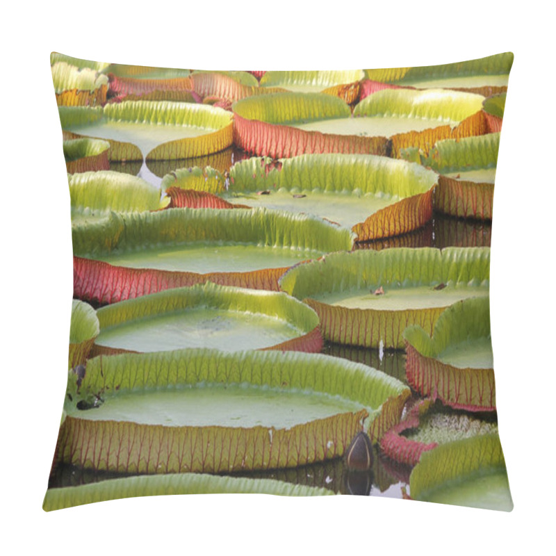 Personality  Floating Lotus, Giant Water Lily Or Victoria Water Lily Pillow Covers