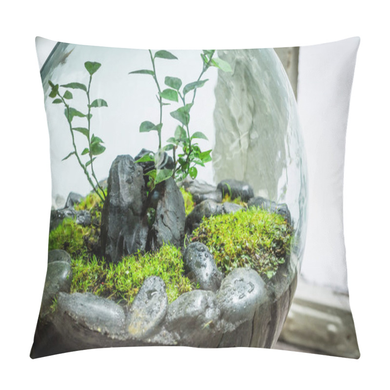 Personality  Stunning Live Plants In A Jar, Save The Earth Concept Pillow Covers