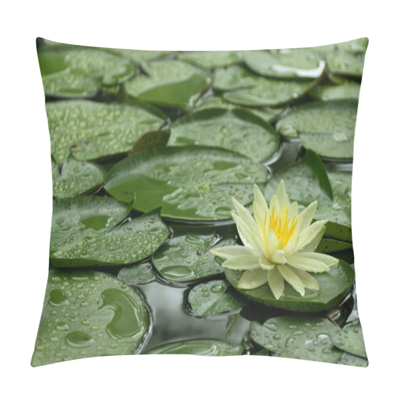 Personality  Yellow Water Lily After Rain Pillow Covers