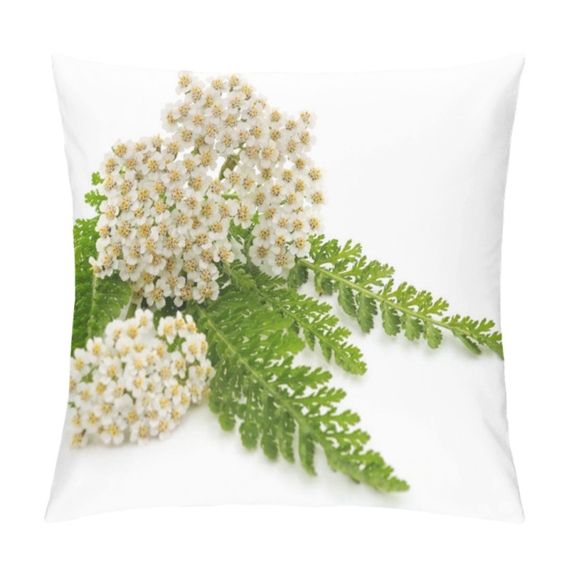 Personality  Green Leaves Of Yarrow. Pillow Covers