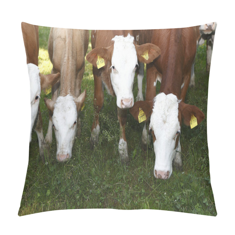 Personality  Calves Pillow Covers