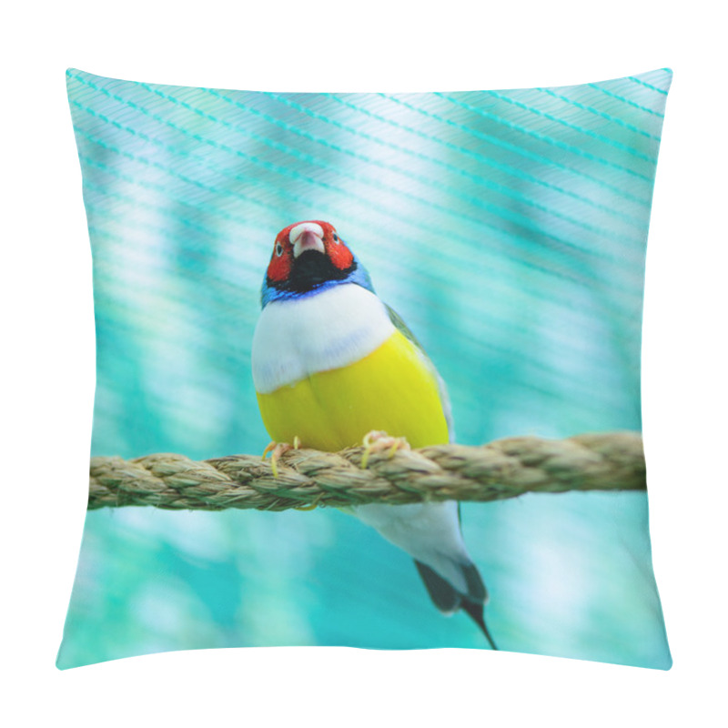 Personality  Beautiful Little Bird Pillow Covers