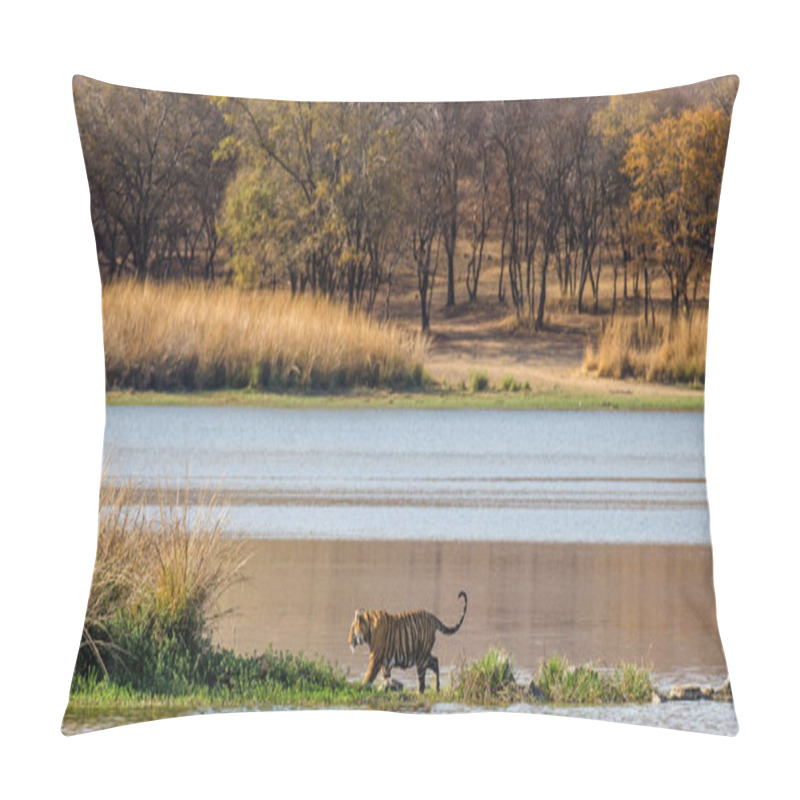 Personality  Bengal Tiger Walks Along Lake Pillow Covers