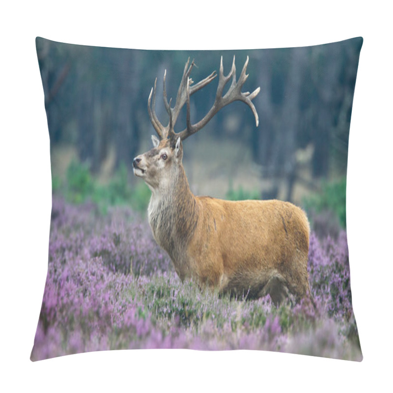 Personality  Red Deer Animal  Pillow Covers