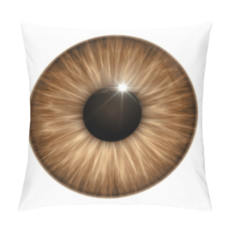 Personality  Brown Eye Texture Pillow Covers