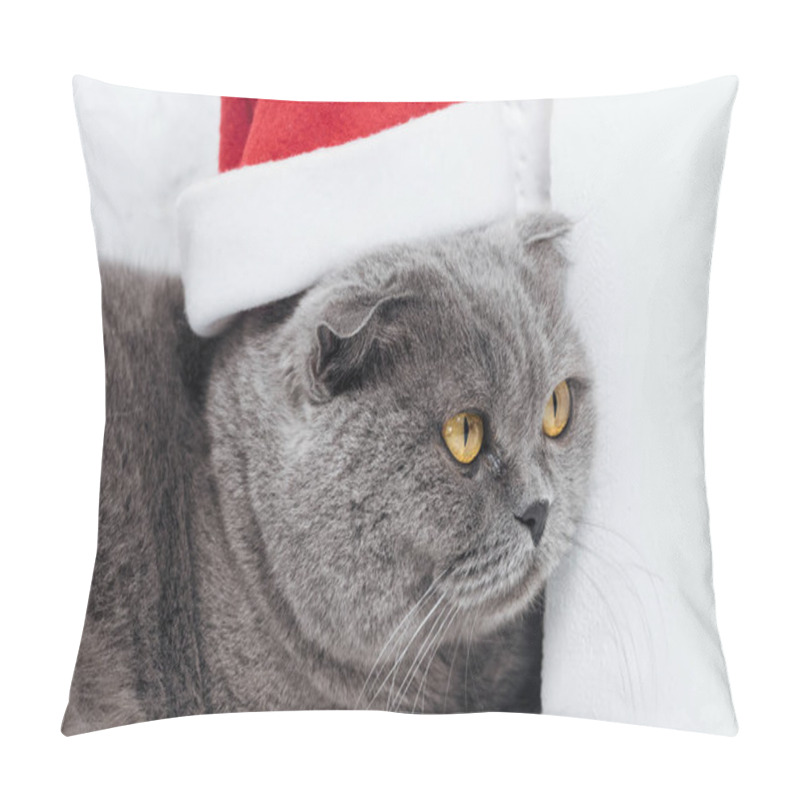 Personality  Close Up Of Cute Scottish Fold Cat In Christmas Santa Hat On White Pillow Covers