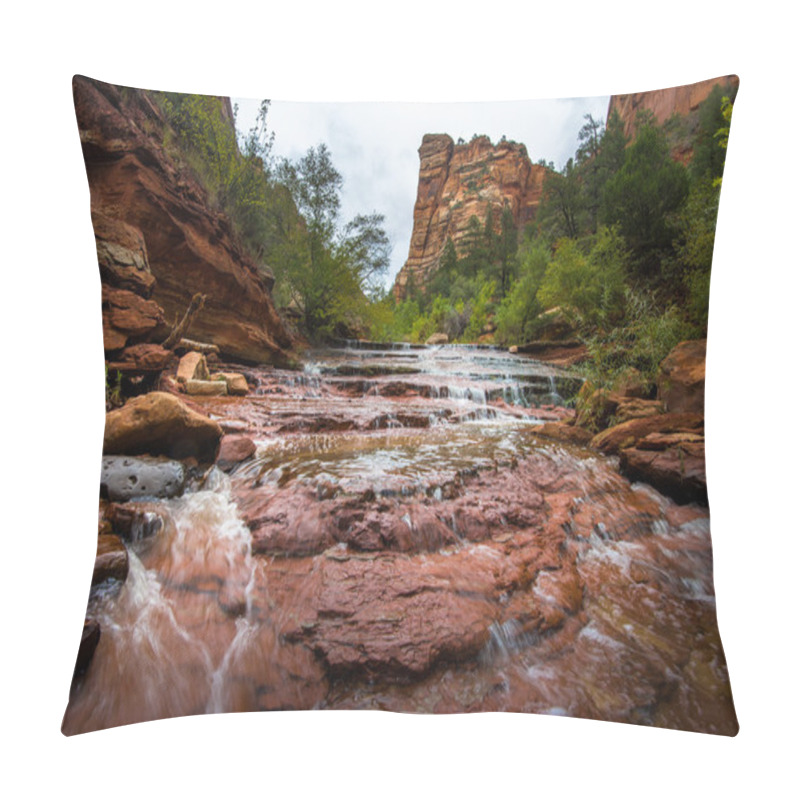 Personality  Archangel Falls, Zion National Park, Utah Pillow Covers