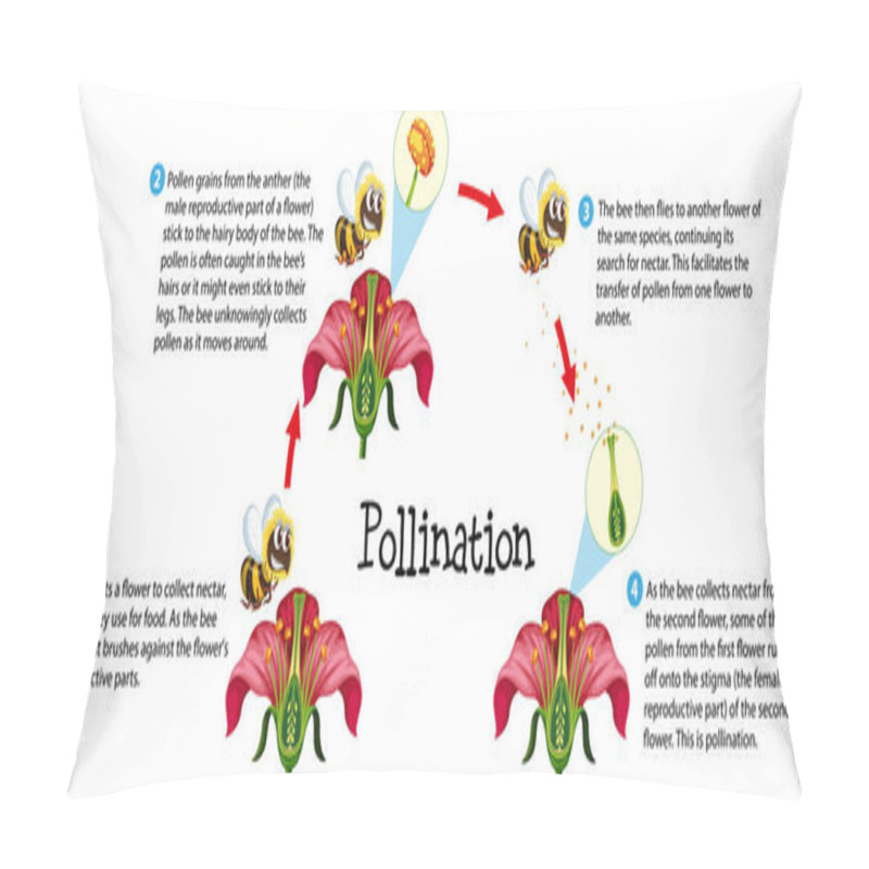 Personality  Learn About Flower Pollination Through An Informative Science Infographic Pillow Covers