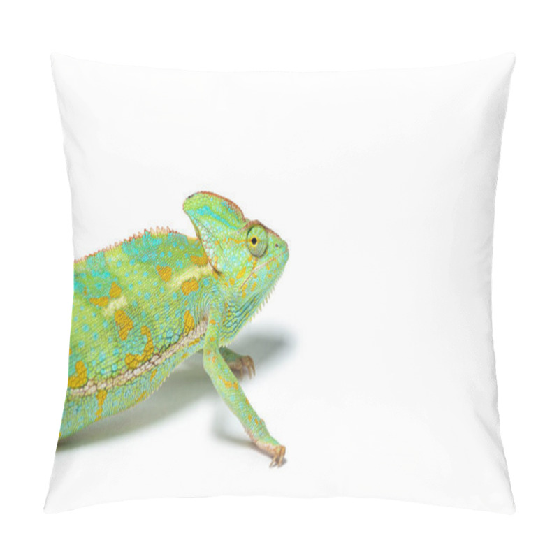 Personality  Close-up View Of Cute Tropical Chameleon Isolated On White  Pillow Covers