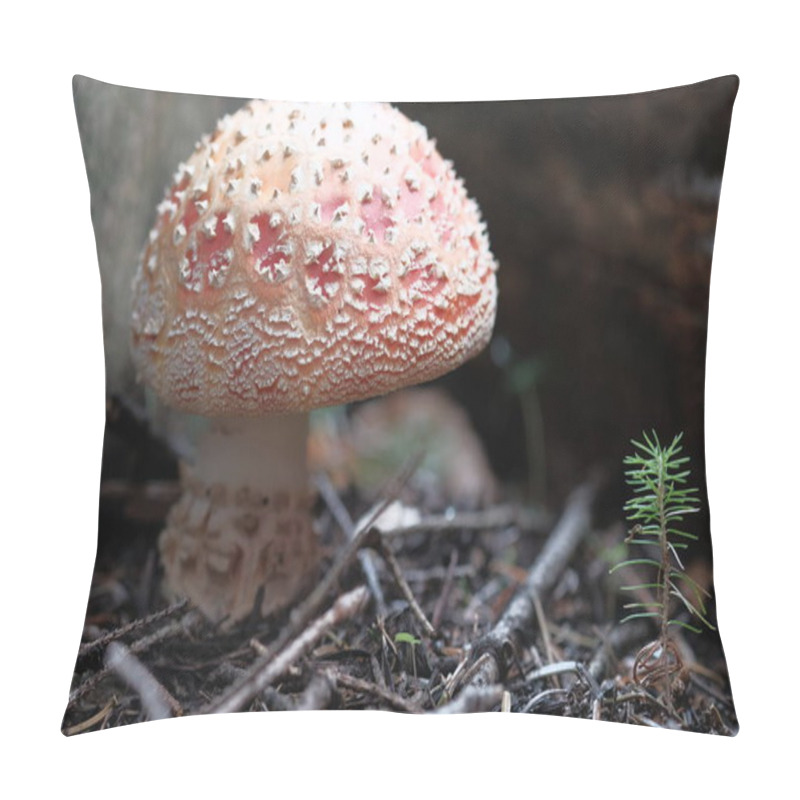 Personality  White-red Fly Agaric Grows In The Forest. Poisonous And Hallucinogenic Mushrooms, Forest Floor, Small World. Pillow Covers