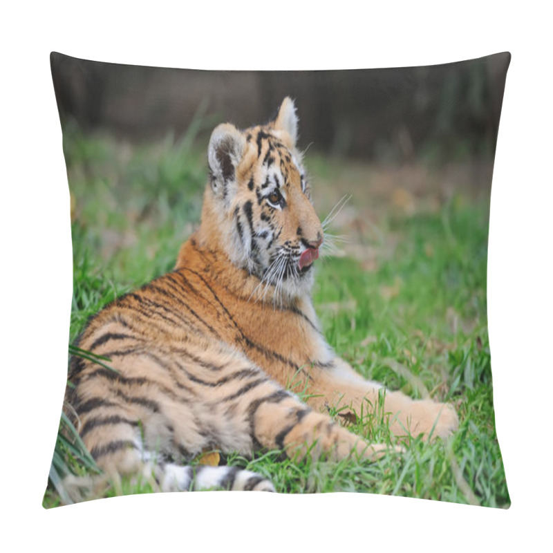 Personality  Portrait Of A Tiger Cub Pillow Covers