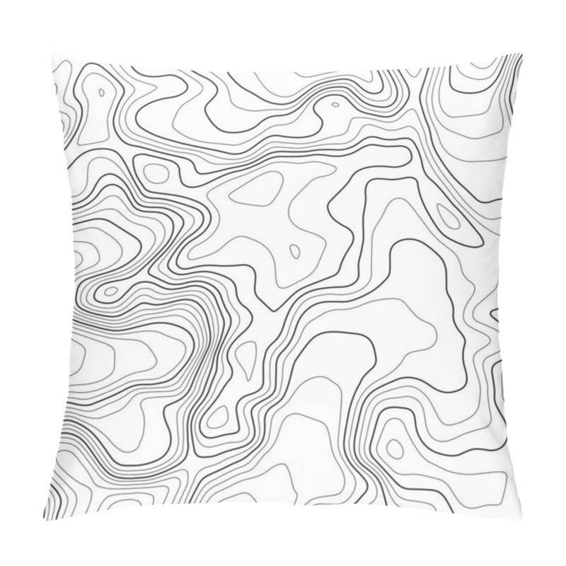 Personality  Topographic Map Background. Abstract Illustration Pillow Covers