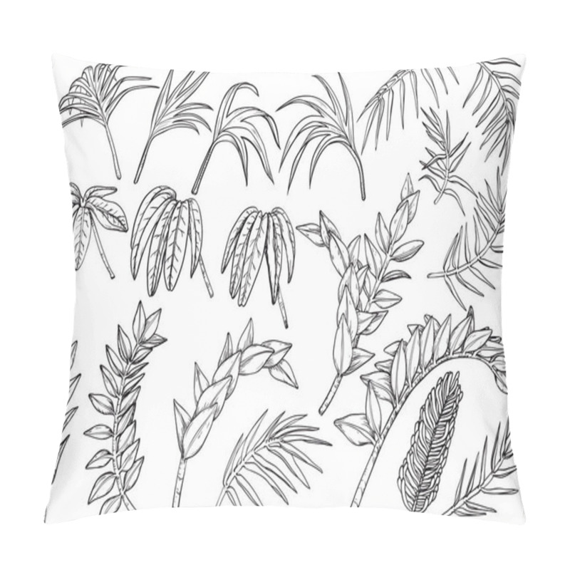 Personality  Hand Drawn Tropical Palm Jungle Plants Set Pillow Covers