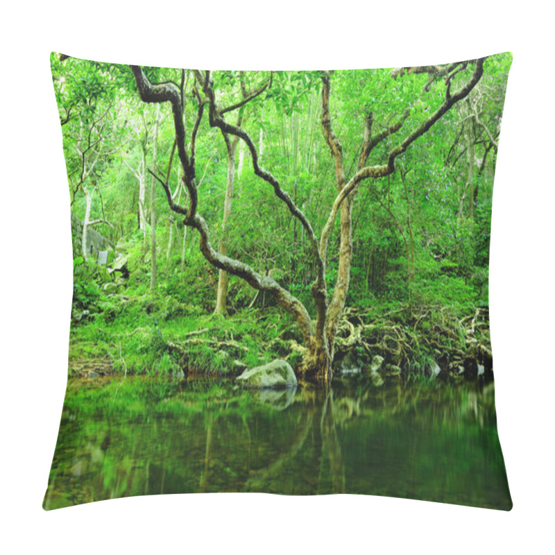 Personality  Tree And Water In Jungle Pillow Covers