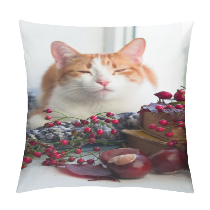 Personality  Red Cat Sitting On A Windowsill With Chestnuts And Books. Autumn Cat Pillow Covers