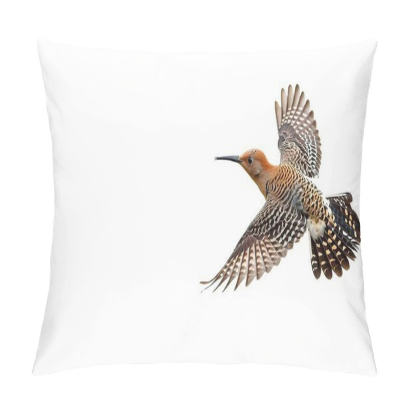 Personality  Northern Flicker Or Common Flicker - Colaptes Auratus - Native To Most Of North America, Parts Of Central America, Cuba, And The Cayman Islands, And Is One Of The Few Woodpecker Species That Migrate Pillow Covers