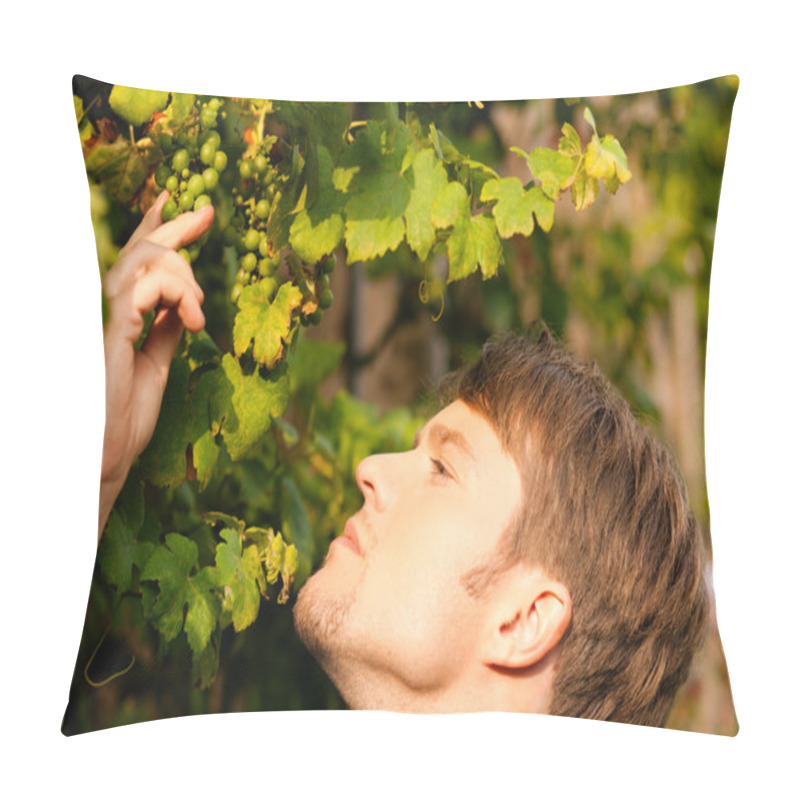 Personality  Young Man Looking On A Grape Pillow Covers