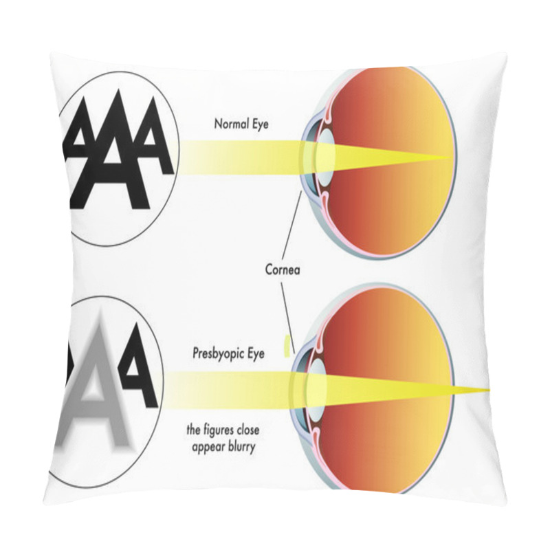 Personality  Presbyopia Pillow Covers