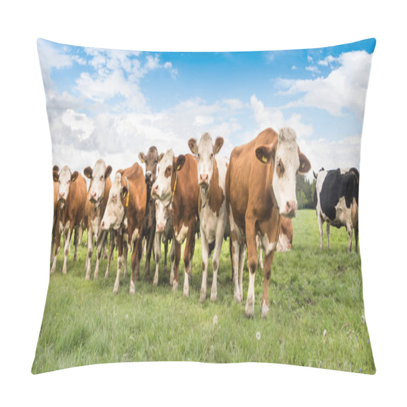 Personality  Herd Of Cows On A Lush Green Pasture Or Meadow Pillow Covers