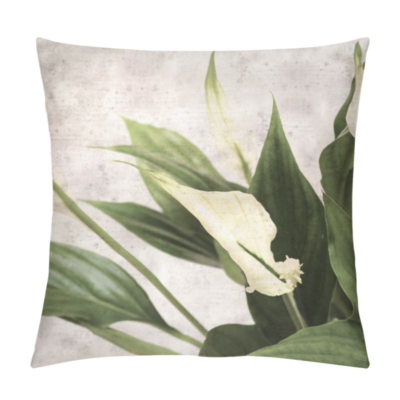 Personality  Textured Stylish Old Paper Background, Square, With Spathiphyllum, Peace Lily Pillow Covers