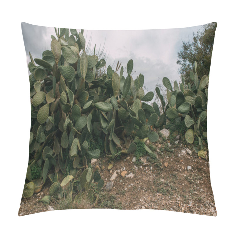 Personality  Green Cactus With Sharp Spikes On Leaves  Pillow Covers