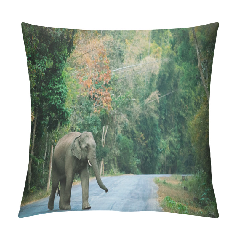 Personality  China Pillow Covers