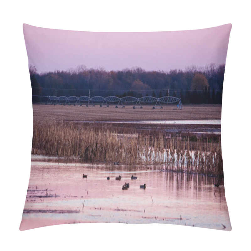 Personality  Flooded Field At Sunset With Wild Ducks Pillow Covers