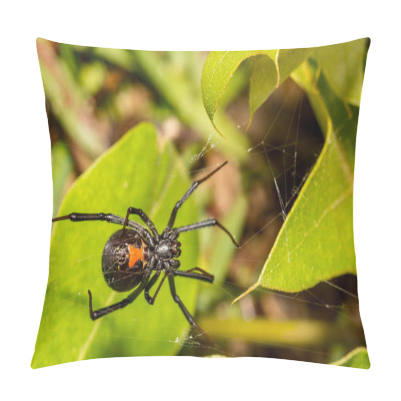 Personality  Black Widow Spider (Latrodectus Mactans) Pillow Covers