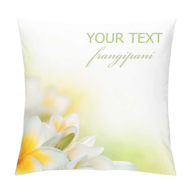 Personality  Frangipani Spa Flowers Border. Plumeria Pillow Covers