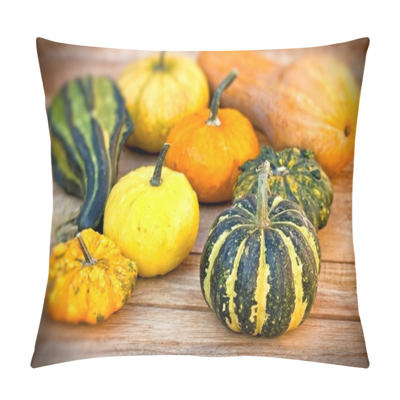 Personality  Pumpkin, Squash, Gourd - Autumn Harvest Pillow Covers