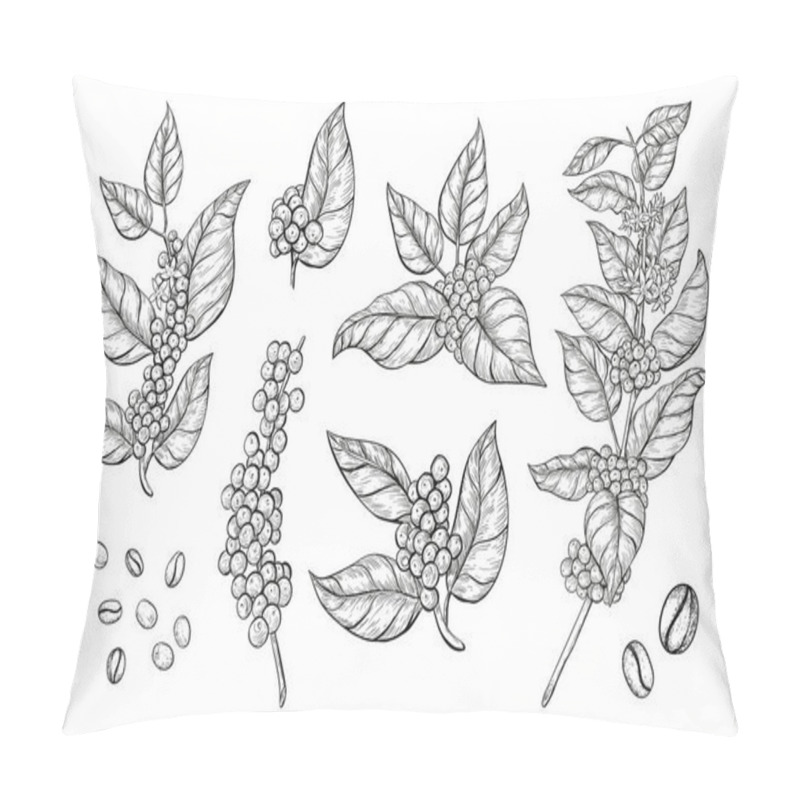 Personality  Coffee Branches And Beans Sketch Style. Hand Drawn Set Of Coffee Tree Branches With Leaves, Flowers And Ripe Fruits.  Pillow Covers