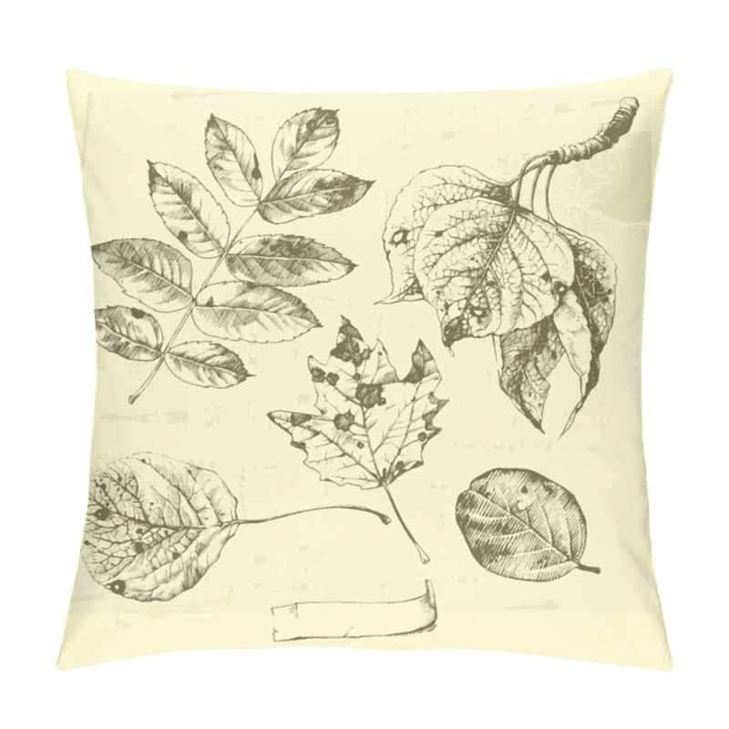 Personality  Leaf Set. Pillow Covers