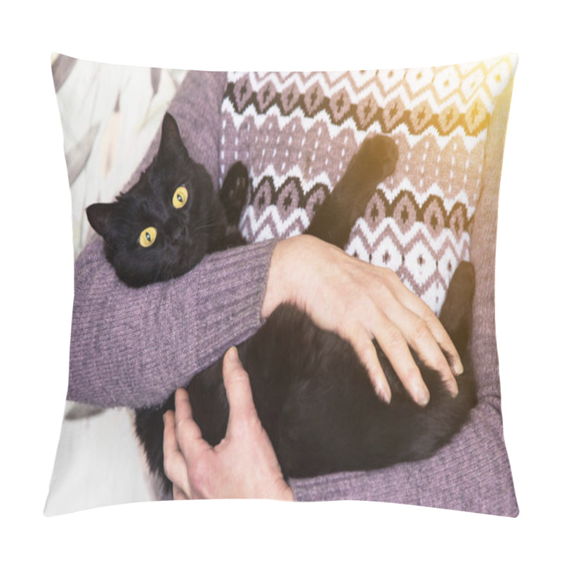 Personality  Beautiful Bombay Black Cat With Yellow Eyes On Owner Hands In Sunlight Pillow Covers