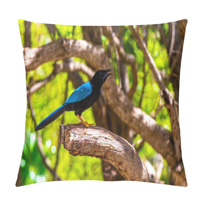 Personality  Yucatan Jay Bird Birds In The Tree Top Trees Crown On A  Branch In Tropical Jungle Forest Nature In Playa Del Carmen Quintana Roo Mexico. Pillow Covers