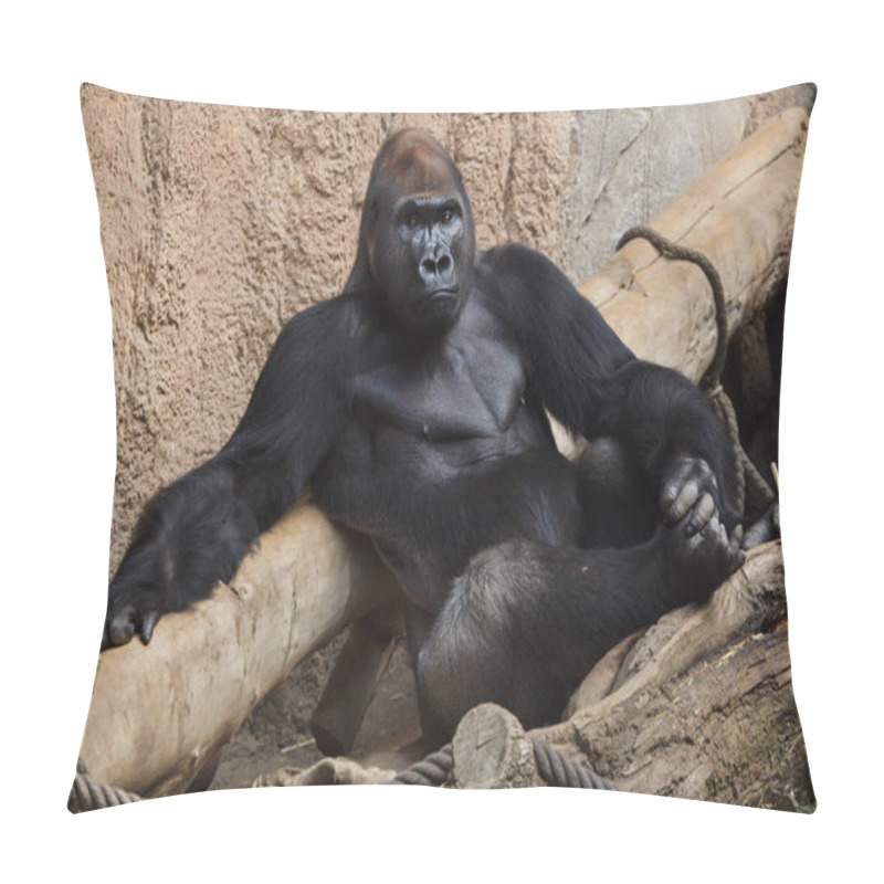 Personality  Western Lowland Gorilla (Gorilla Gorilla Gorilla). Pillow Covers