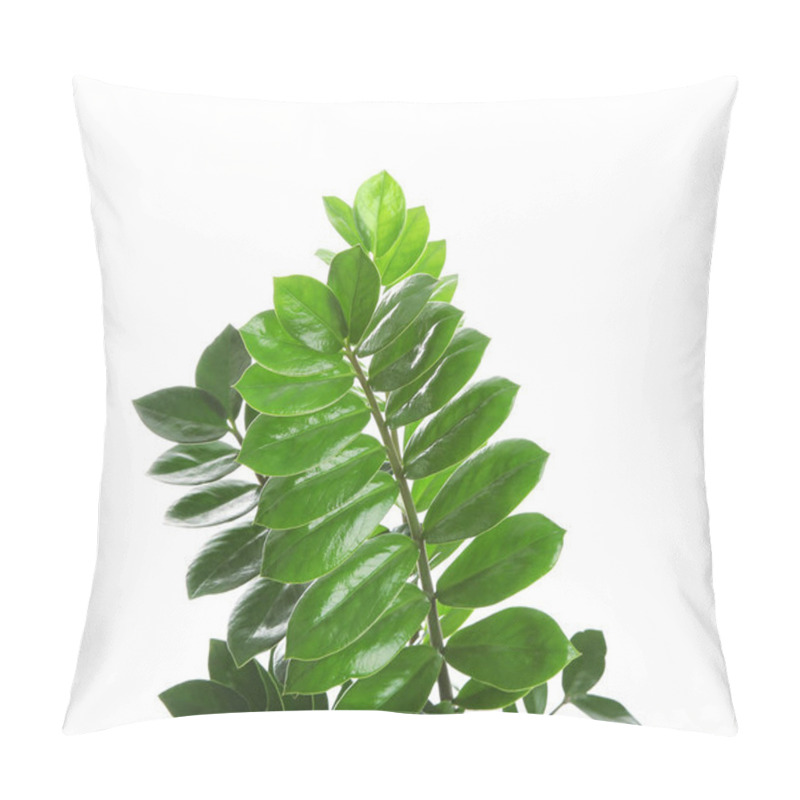 Personality  Tropical Zamioculcas Leaves Isolated On White Pillow Covers