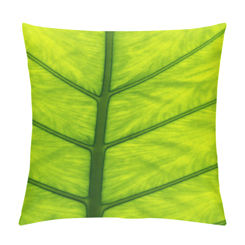 Personality  Beautiful Pattern Background Created By Leaf Texture Pillow Covers