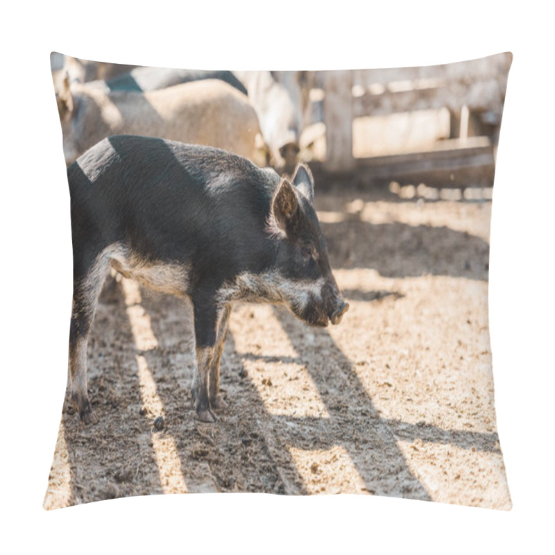 Personality  Black Adorable Piglet Standing In Corral At Farm  Pillow Covers