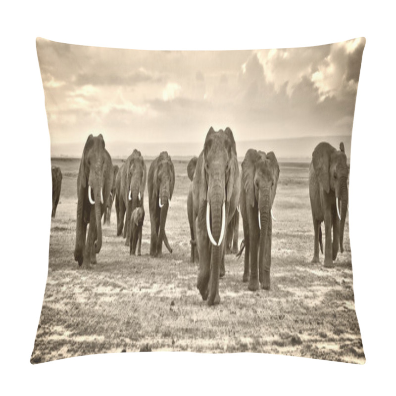 Personality  Herd Of Elephants Walking In The African Savannah Pillow Covers