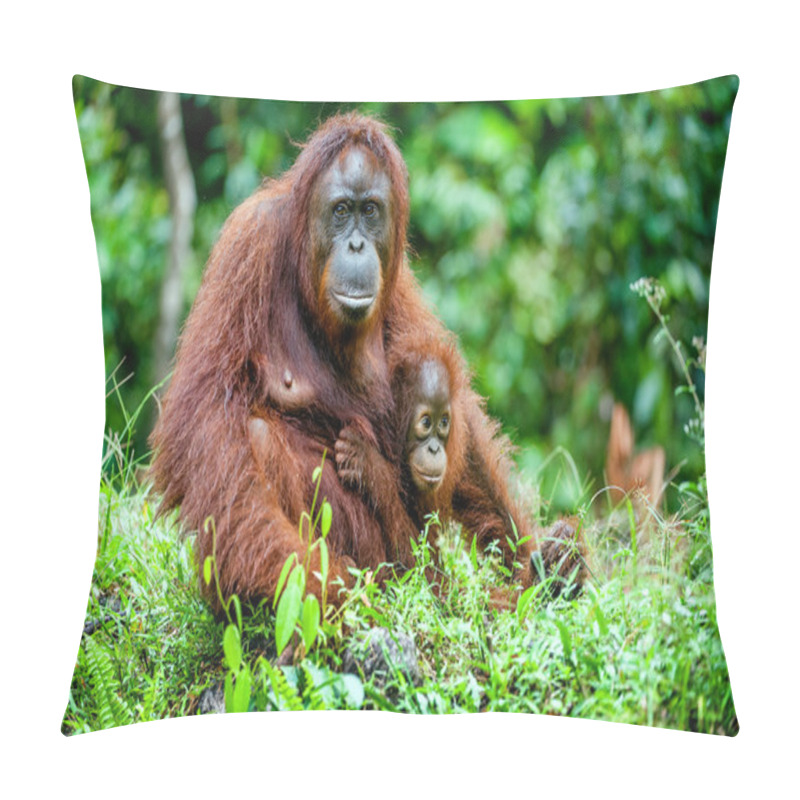 Personality  A Female Of The Orangutan With A Cub Pillow Covers