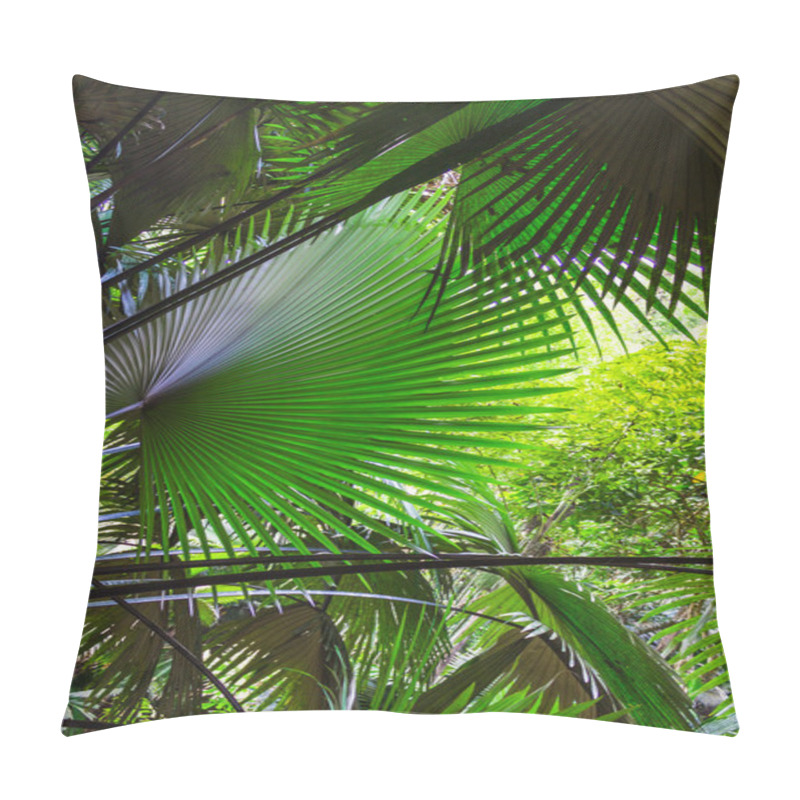 Personality  Background Of Palm Leaves In The Jungle Of Thailand Pillow Covers