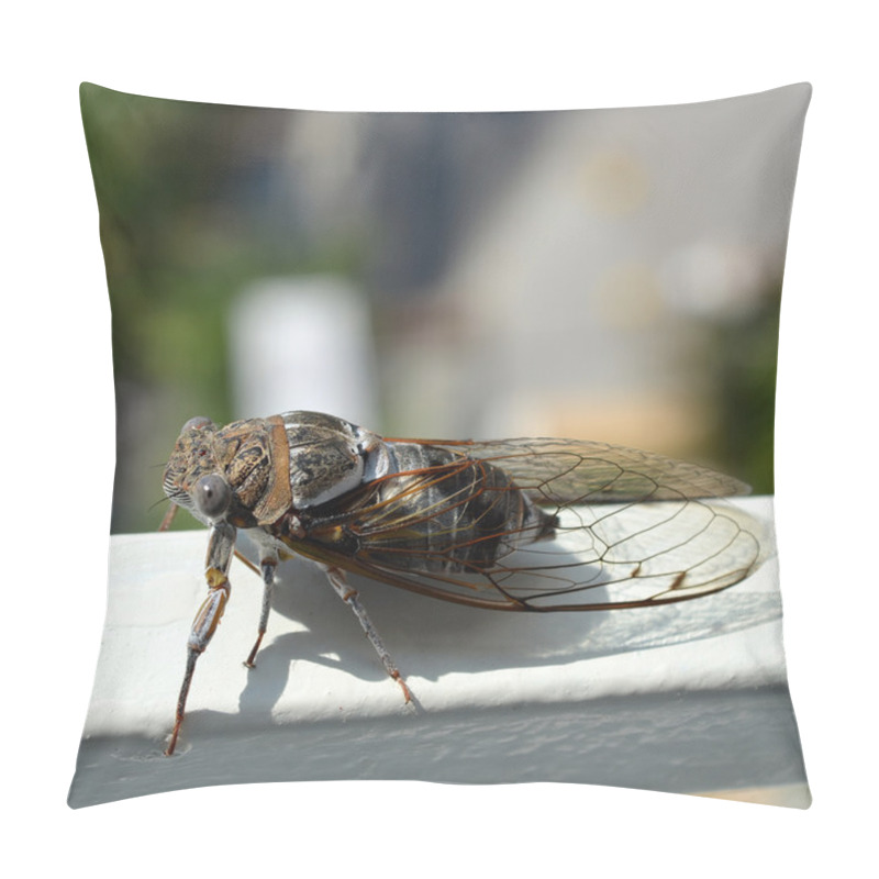 Personality  Big Fly On The White Surface With Blurred Background Pillow Covers