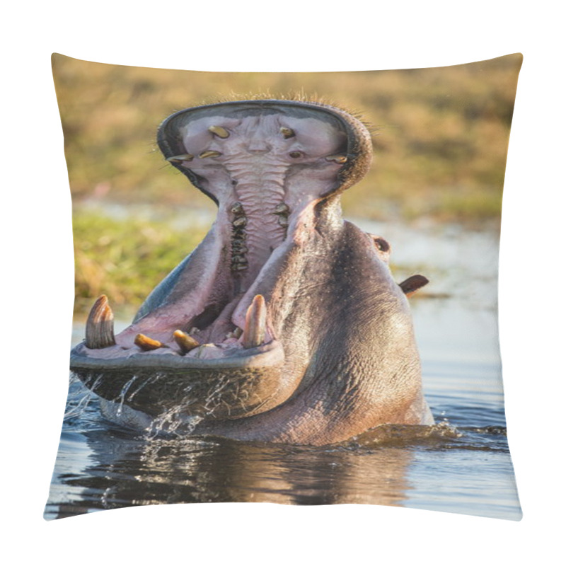 Personality  Hippopotamus Showing Huge Jaw Pillow Covers