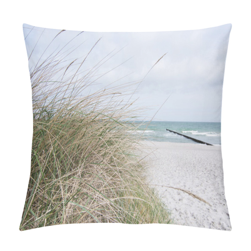 Personality  Groyne In Zingst, Darss, Germany Pillow Covers