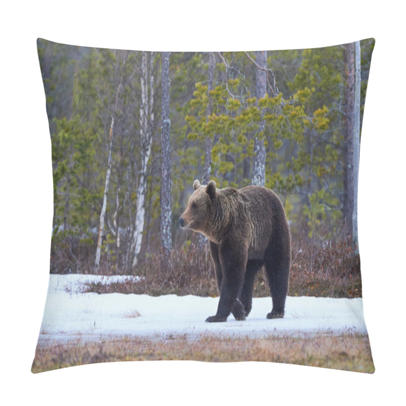 Personality  Brown Bear In The Taiga Pillow Covers