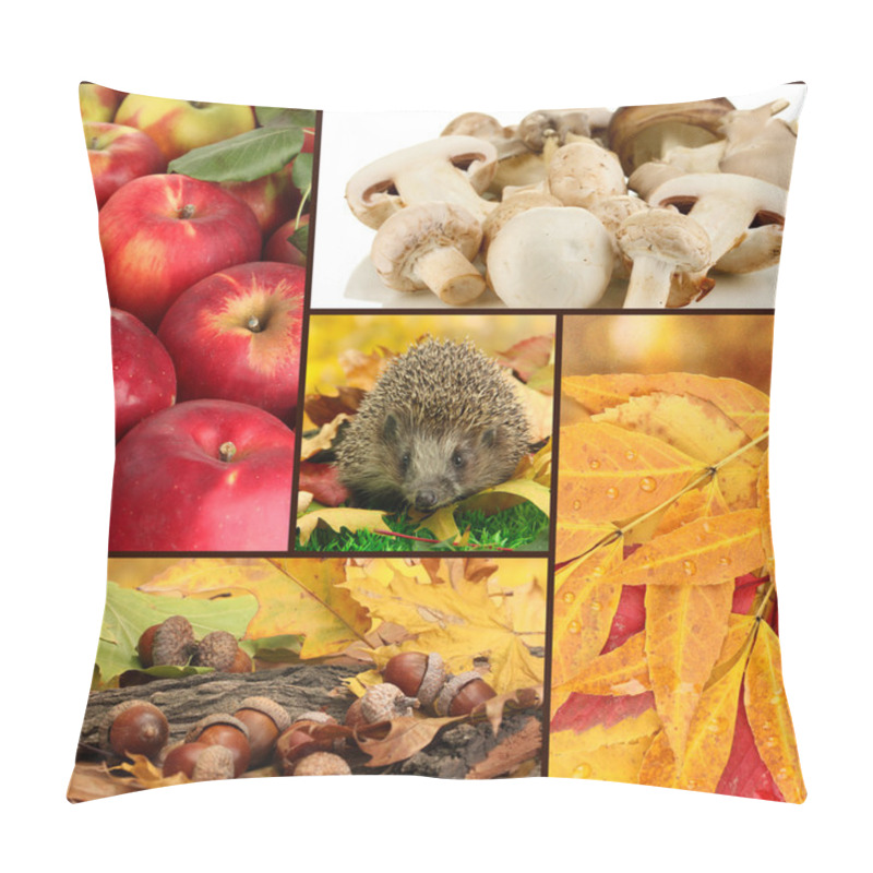 Personality  Autumn Collage Of Apples, Acorns, Leaves, Mushrooms And Hedgehog Pillow Covers