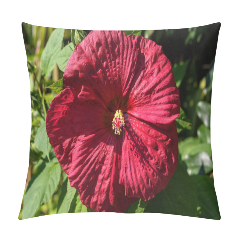 Personality  Large And Delicate Vivid Dark Red Hibiscus Flowers In A Tree In An Exotic Garden In A Sunny Summer Day On Isola Bella By Lake Maggiore In Northern Italy, Outdoor Floral Background Pillow Covers