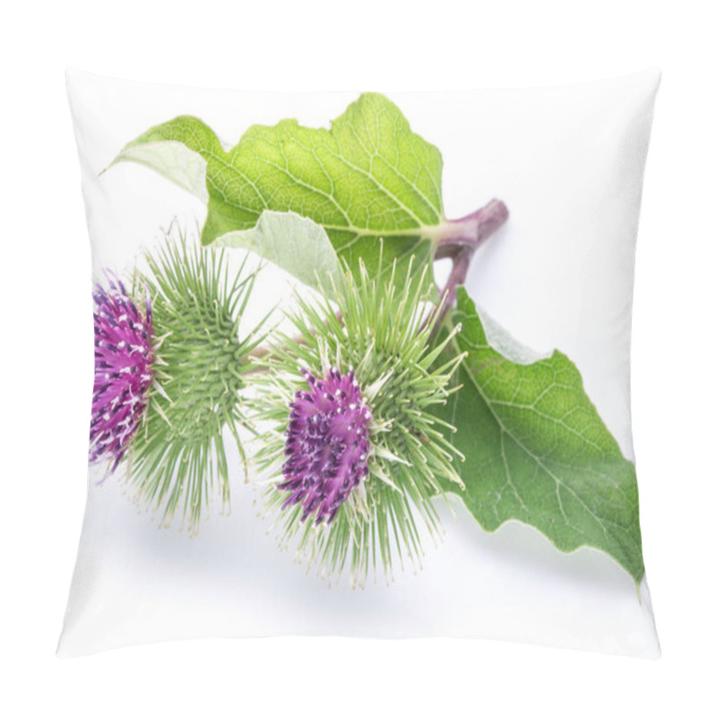 Personality  Prickly Heads Of Burdock Flowers On A White Background. Pillow Covers