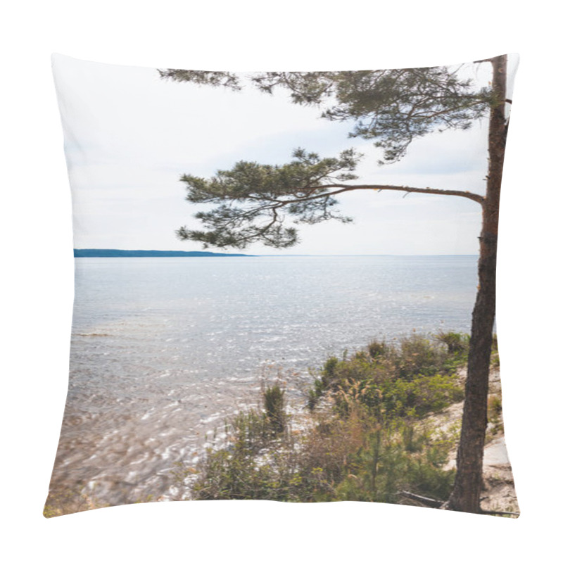 Personality  Sunlight On Green Pine Tree Near Blue Lake Pillow Covers