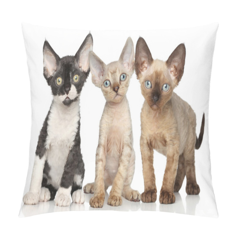 Personality  Devon-Rex Kitten Group On White Background Pillow Covers